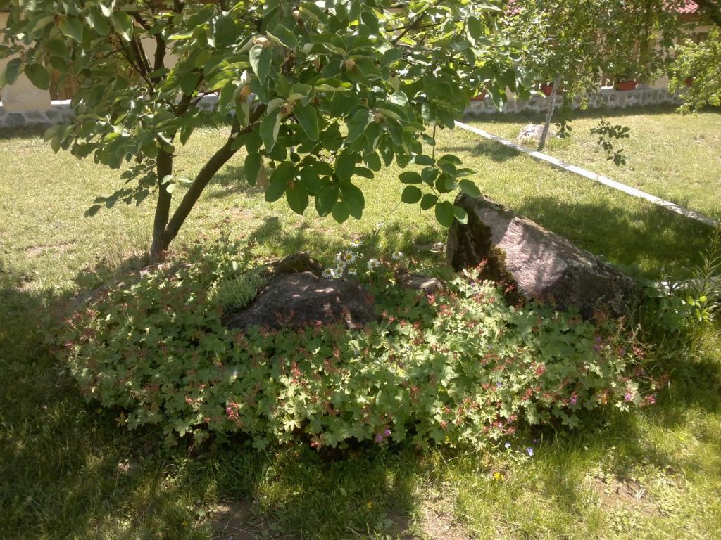Villa Nanevi Тетевен Экстерьер фото