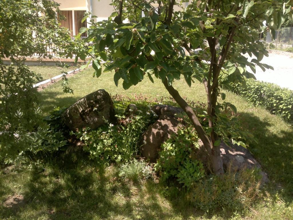 Villa Nanevi Тетевен Экстерьер фото